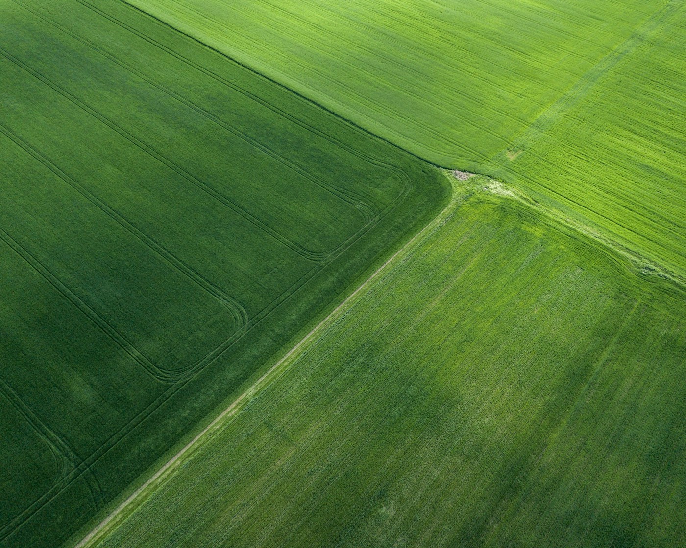 Paisagem rural com sobreposição ilustrativa de limites e pontos de levantamento